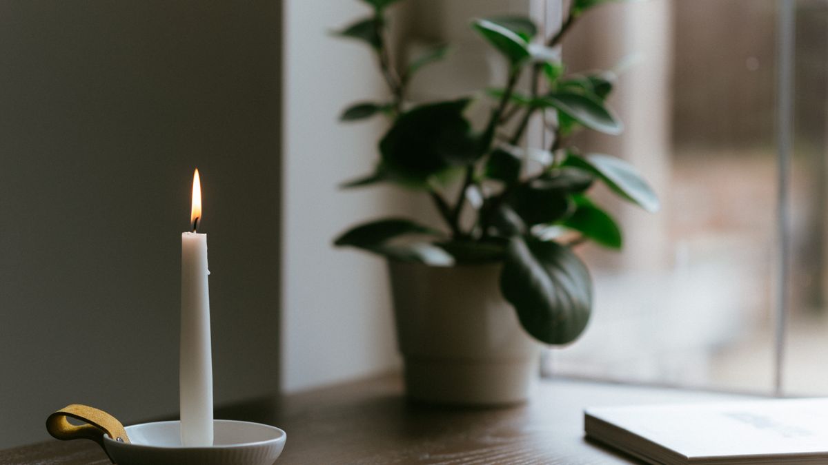 Lit white candle beside a potted green plant and a book on a wooden table